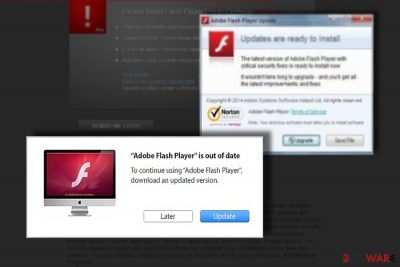latest flash player update for mac